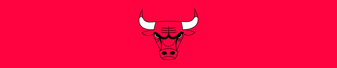 Chicago Bulls