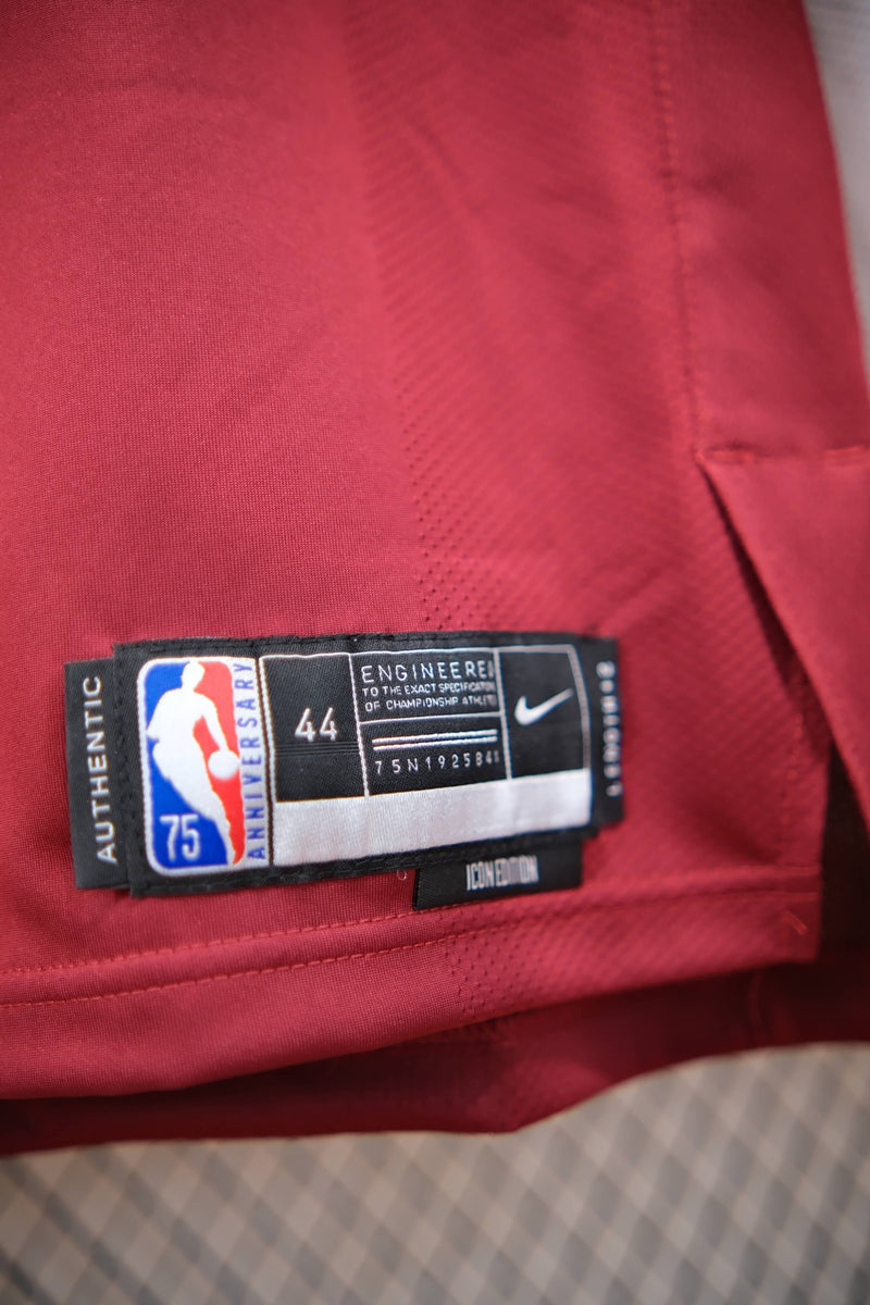 Regata NBA - Cleveland Cavaliers Icon Edition 24/25 Authentic Version