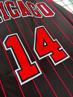 Regata NBA - Chicago Bulls Statement Edition 25/26 Authentic Version