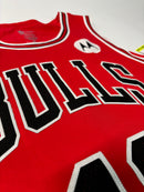 Regata NBA - Chicago Bulls Icon Edition Authentic Version | PRONTA ENTREGA