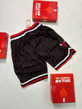 Bermuda NBA - Chicago Bulls Mitchell & Ness | PRONTA ENTREGA
