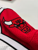 Bermuda NBA - Chicago Bulls Mitchell & Ness | PRONTA ENTREGA