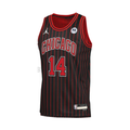 Regata NBA - Chicago Bulls Statement Edition 25/26 Swingman Version