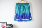 Shorts NBA - Charlotte Hornets City Edition 21/22