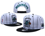 Boné NBA - Charlotte Hornets